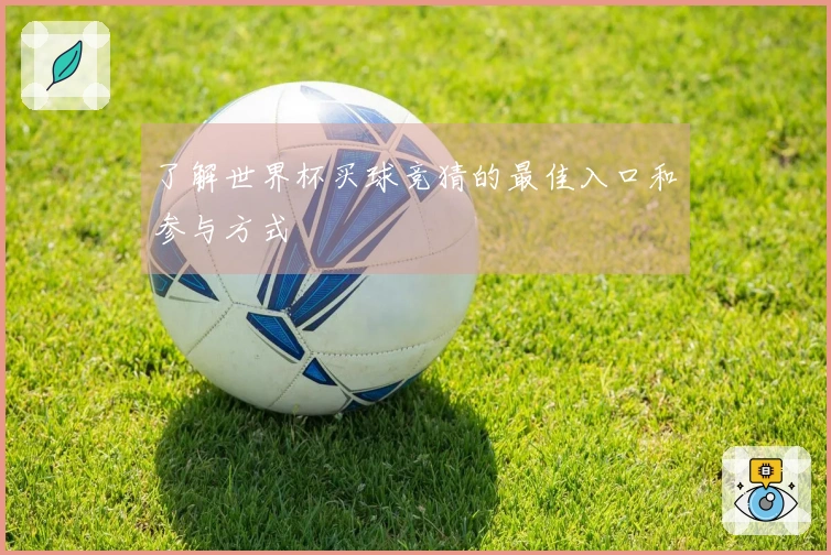 了解世界杯买球竞猜的最佳入口和参与方式