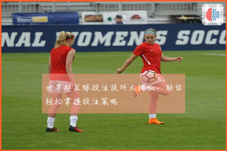 世界杯买球投注技巧大揭秘，助你轻松掌握投注策略