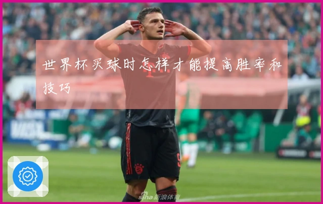 世界杯买球时怎样才能提高胜率和技巧