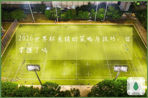 2026世界杯竞猜的策略与技巧，你掌握了吗