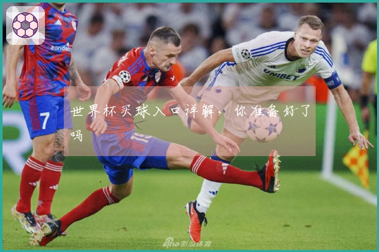 世界杯买球入口详解，你准备好了吗