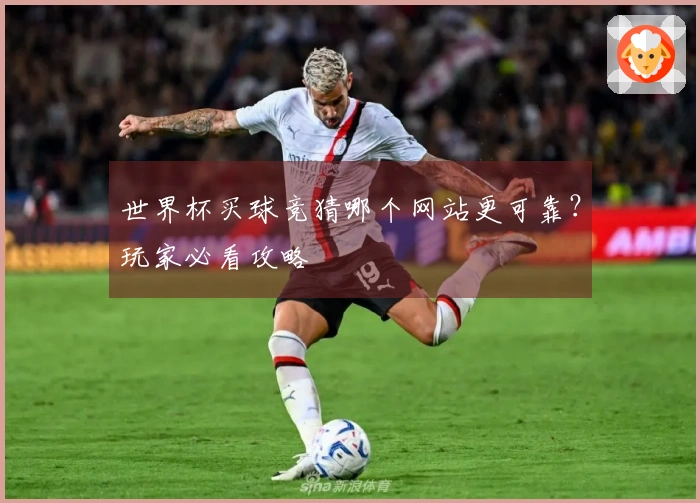 世界杯买球竞猜哪个网站更可靠？玩家必看攻略