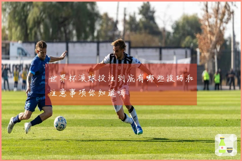 世界杯滚球投注到底有哪些技巧和注意事项你知道吗