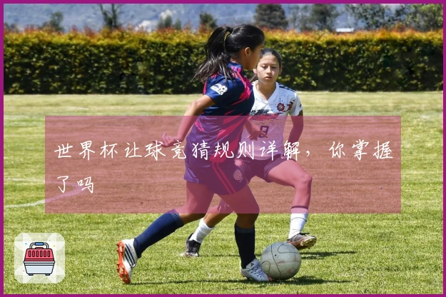 世界杯让球竞猜规则详解，你掌握了吗