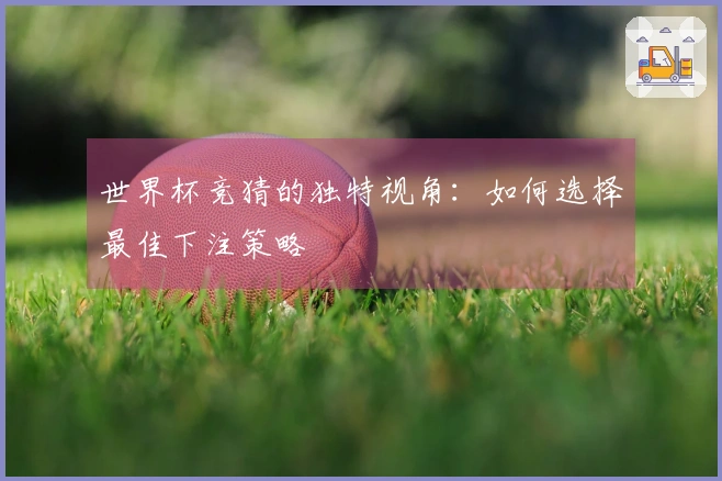 世界杯竞猜的独特视角：如何选择最佳下注策略