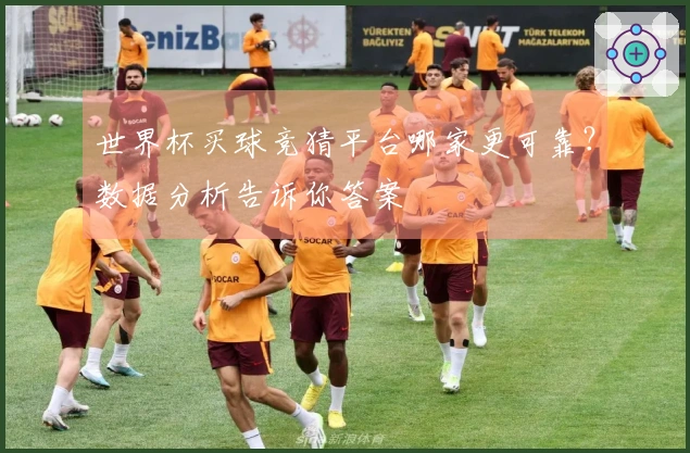 世界杯买球竞猜平台哪家更可靠？数据分析告诉你答案