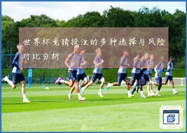 世界杯竞猜投注的多种选择与风险对比分析