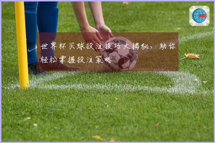 世界杯买球投注技巧大揭秘，助你轻松掌握投注策略
