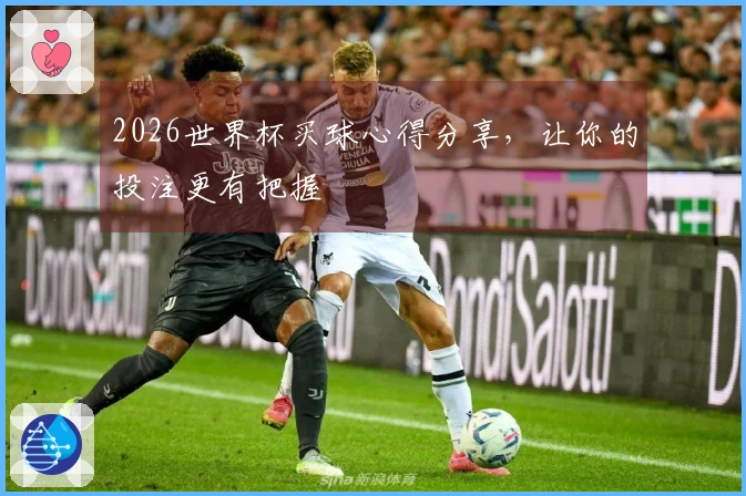 2026世界杯买球心得分享，让你的投注更有把握