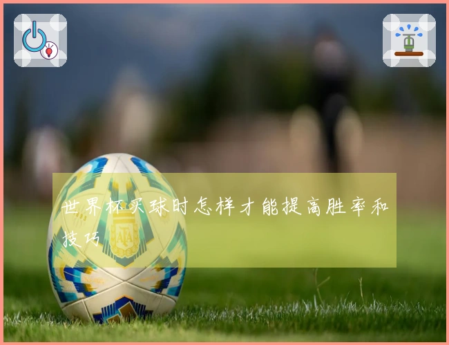 世界杯买球时怎样才能提高胜率和技巧
